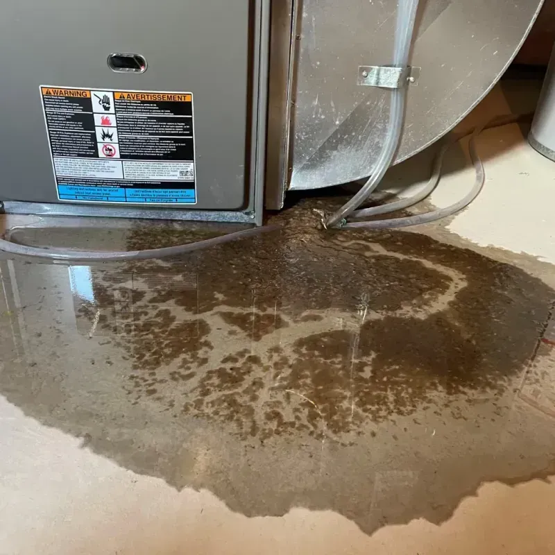 Appliance Leak Cleanup in Potomac, MD